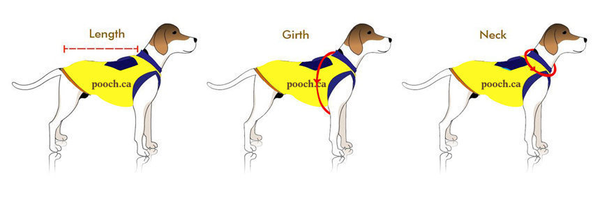 How to Measure Your Dog for Clothing?